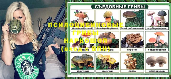 спайс Няндома