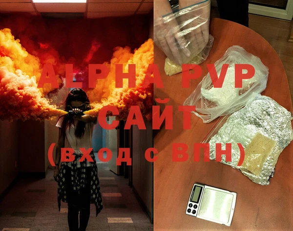 эйфоретик Покачи