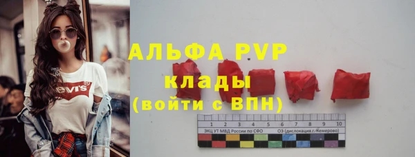прущие крисы Белокуриха
